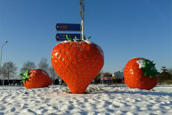 Aardbeien